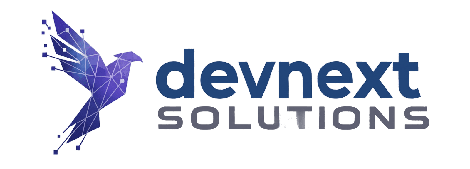 DevNext Solutions